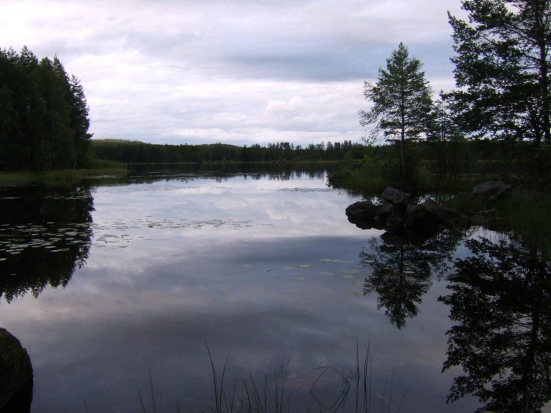 2011_GlaskogenS_