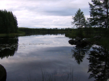 2011_GlaskogenS_