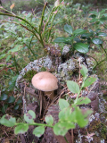 2210_PilzETC_