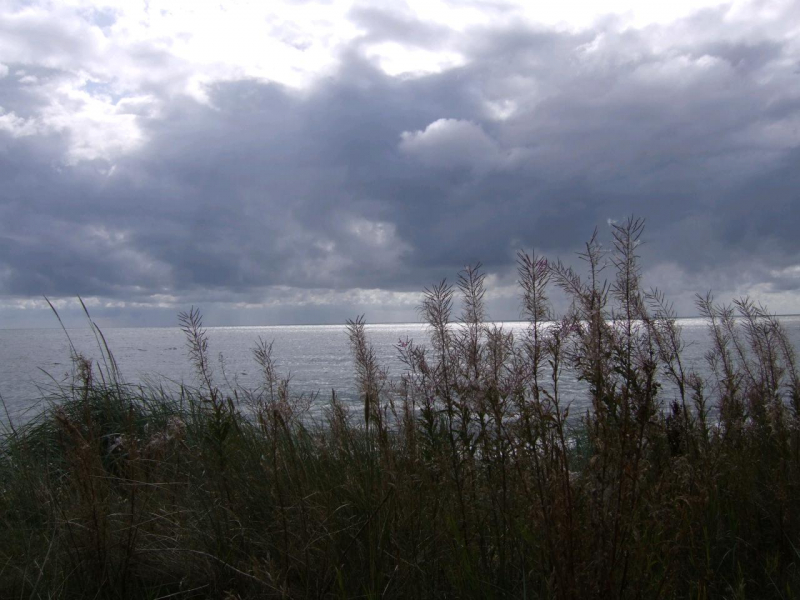 2510_ErneutAmStrand_