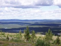 FiFo_034
