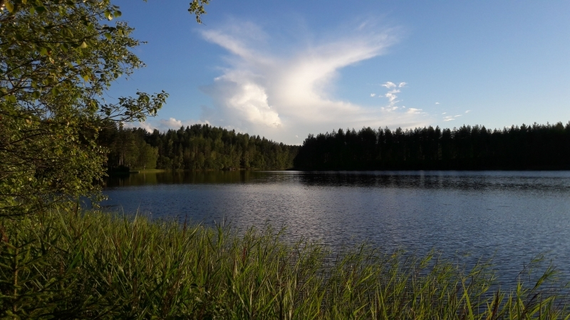 FiFo_091
