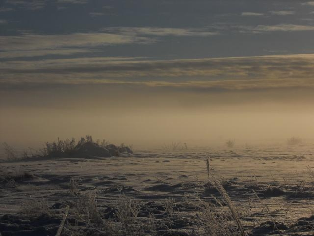 FiFo_156