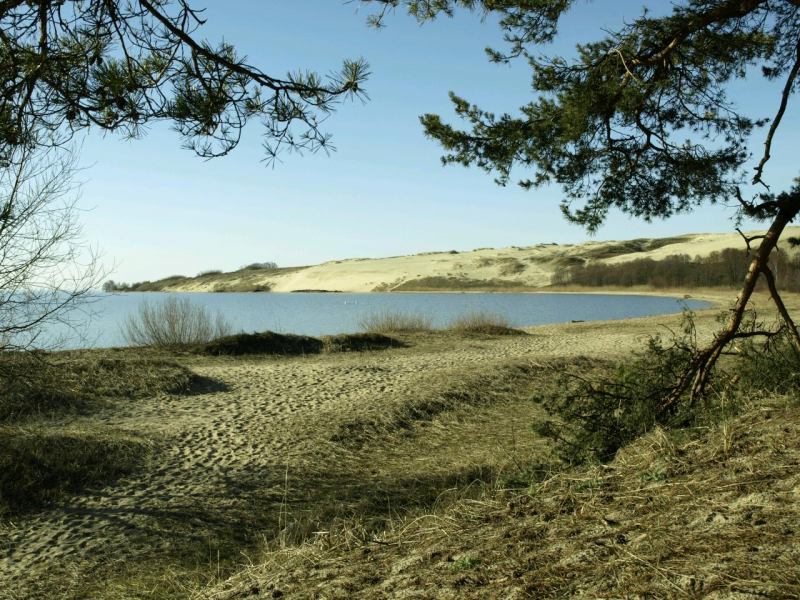 0408_Haff_
