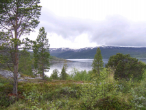 1503_AltaMuseumWetter_