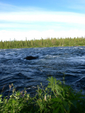 1705_Torneforsen_